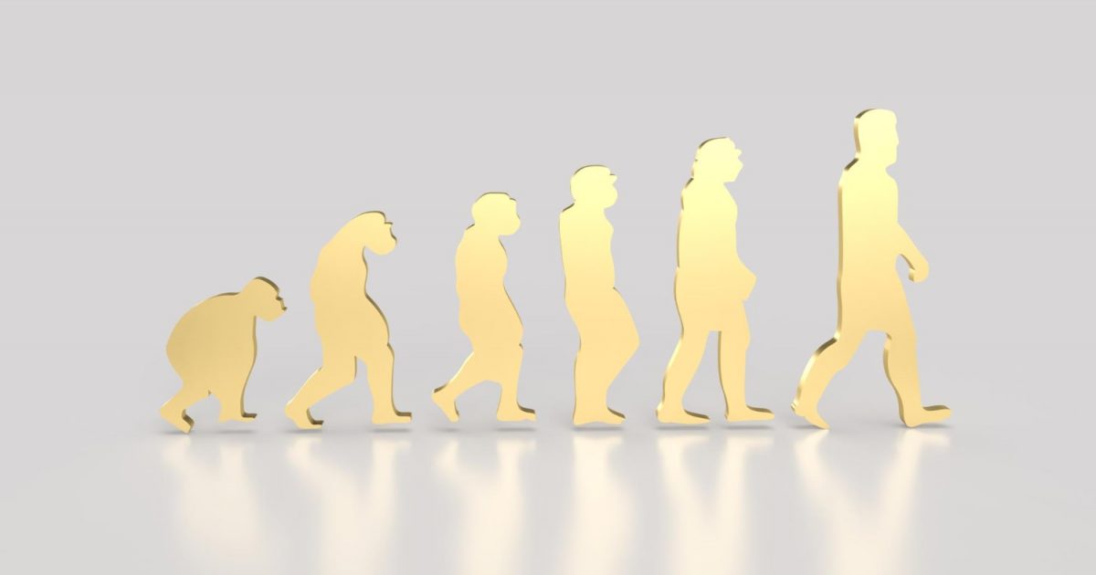 Los mitos y realidades sobre la teoría de la evolución